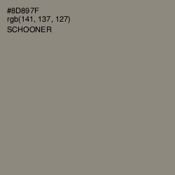 #8D897F - Schooner Color Image