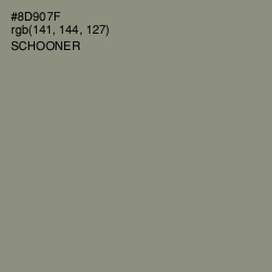 #8D907F - Schooner Color Image