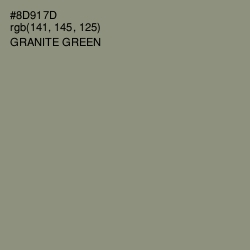 #8D917D - Granite Green Color Image