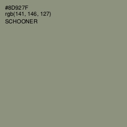 #8D927F - Schooner Color Image