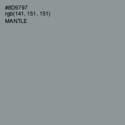 #8D9797 - Mantle Color Image