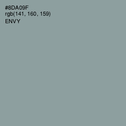 #8DA09F - Envy Color Image