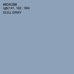 #8DA2B8 - Gull Gray Color Image