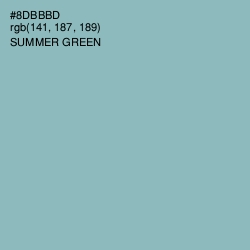 #8DBBBD - Summer Green Color Image