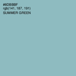 #8DBBBF - Summer Green Color Image