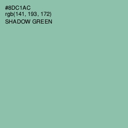 #8DC1AC - Shadow Green Color Image