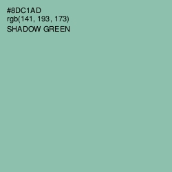 #8DC1AD - Shadow Green Color Image