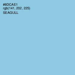 #8DCAE1 - Seagull Color Image
