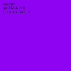 #8E03F1 - Electric Violet Color Image