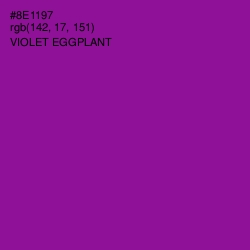 #8E1197 - Violet Eggplant Color Image