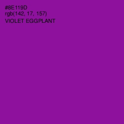 #8E119D - Violet Eggplant Color Image