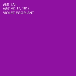 #8E11A1 - Violet Eggplant Color Image