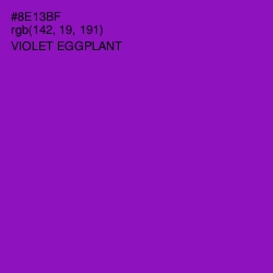 #8E13BF - Violet Eggplant Color Image