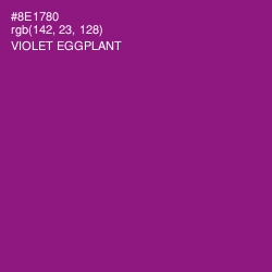 #8E1780 - Violet Eggplant Color Image