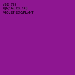 #8E1791 - Violet Eggplant Color Image