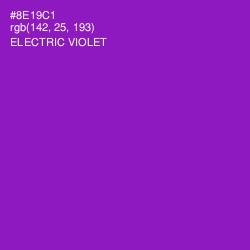 #8E19C1 - Electric Violet Color Image