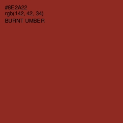 #8E2A22 - Burnt Umber Color Image