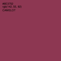 #8E3752 - Camelot Color Image