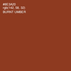 #8E3A20 - Burnt Umber Color Image
