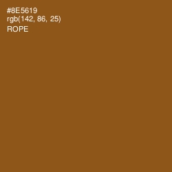 #8E5619 - Rope Color Image