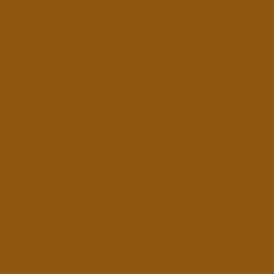 #8E5712 - Rusty Nail Color Image