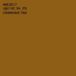 #8E5E17 - Hawaiian Tan Color Image