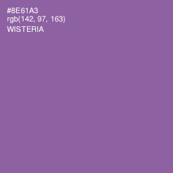 #8E61A3 - Wisteria Color Image