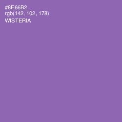 #8E66B2 - Wisteria Color Image