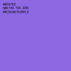 #8E67E2 - Medium Purple Color Image