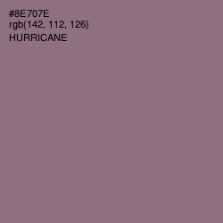 #8E707E - Hurricane Color Image