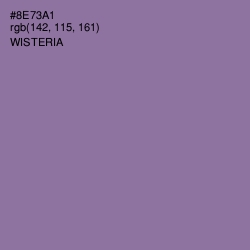 #8E73A1 - Wisteria Color Image