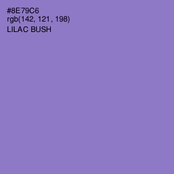 #8E79C6 - Lilac Bush Color Image