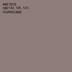 #8E7D79 - Hurricane Color Image