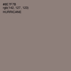 #8E7F7B - Hurricane Color Image