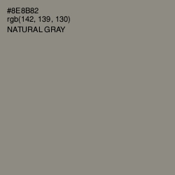 #8E8B82 - Natural Gray Color Image