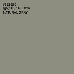 #8E8E80 - Natural Gray Color Image