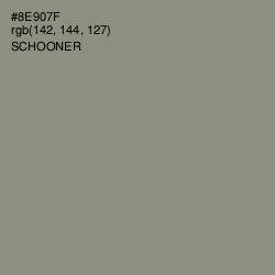 #8E907F - Schooner Color Image