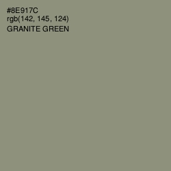 #8E917C - Granite Green Color Image