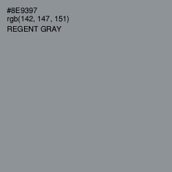 #8E9397 - Regent Gray Color Image