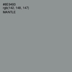 #8E9493 - Mantle Color Image