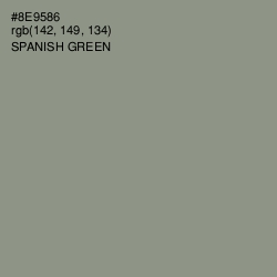 #8E9586 - Spanish Green Color Image