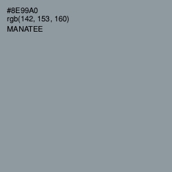 #8E99A0 - Manatee Color Image
