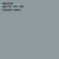 #8E9C9F - Regent Gray Color Image