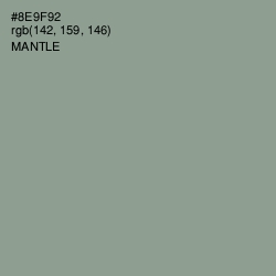 #8E9F92 - Mantle Color Image
