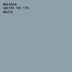 #8EA0AA - Cascade Color Image