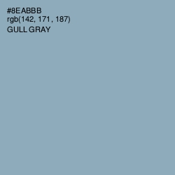 #8EABBB - Gull Gray Color Image