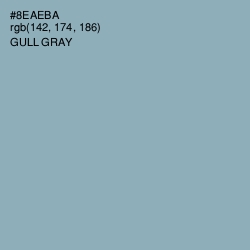 #8EAEBA - Gull Gray Color Image