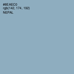 #8EAEC0 - Nepal Color Image