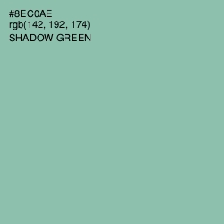 #8EC0AE - Shadow Green Color Image