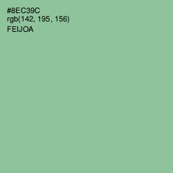 #8EC39C - Feijoa Color Image